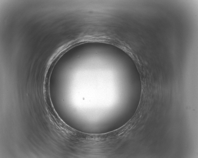 X0000080190340200612081206