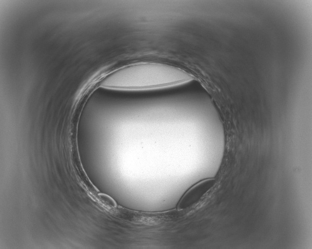 X0000080190341200612081206