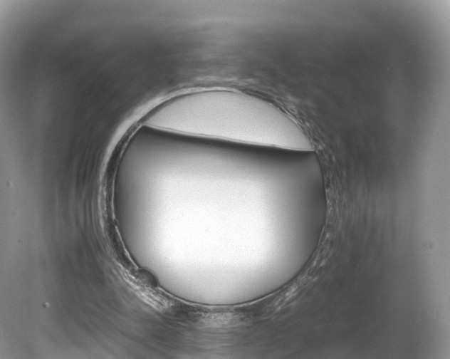 X0000080190342200612081206