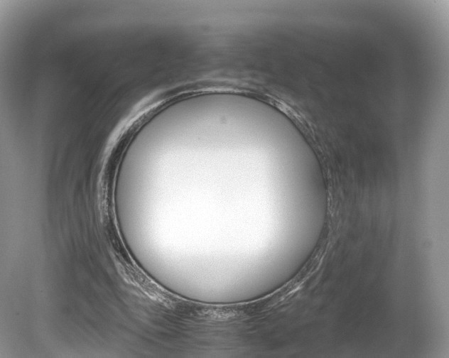 X0000080190343200612081206