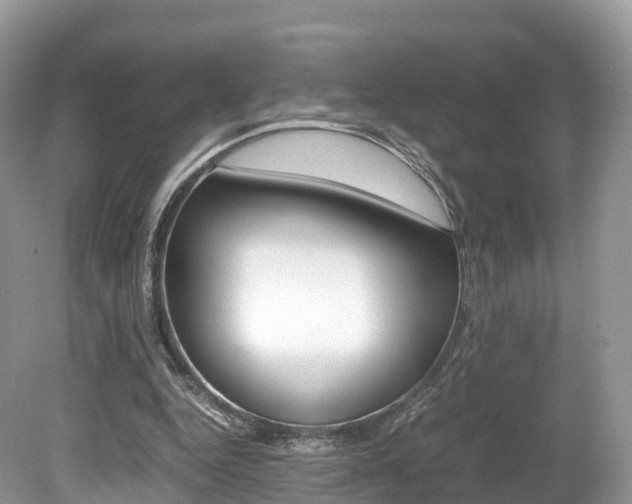X0000080190344200612081206