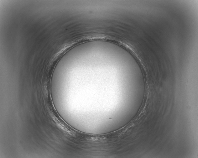 X0000080190345200612081206