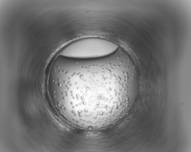 X0000080190346200612081206