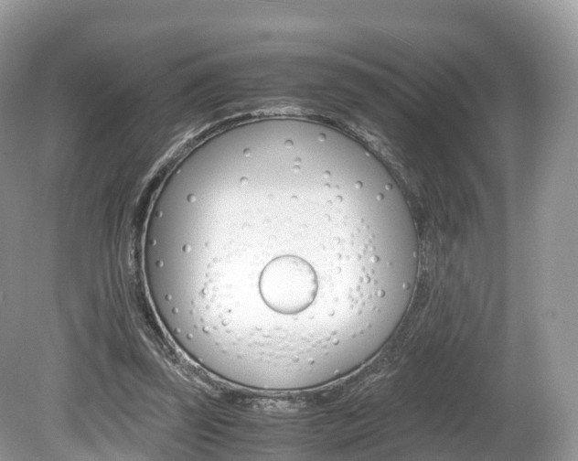 X0000080190347200612081206