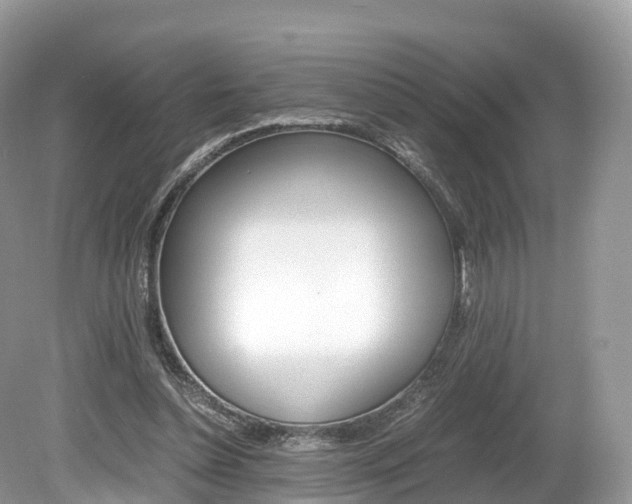 X0000080190348200612081206