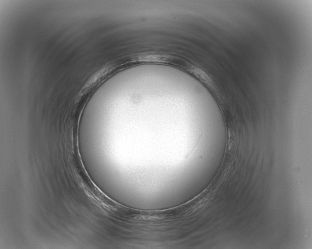 X0000080190349200612081206