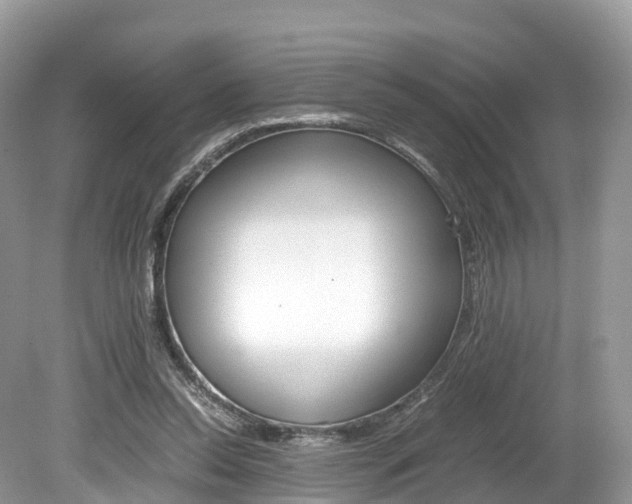 X0000080190350200612081206