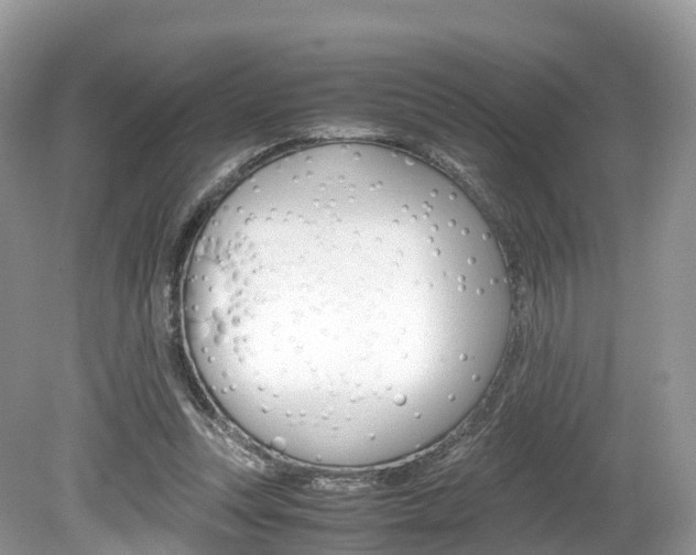 X0000080190351200612081206