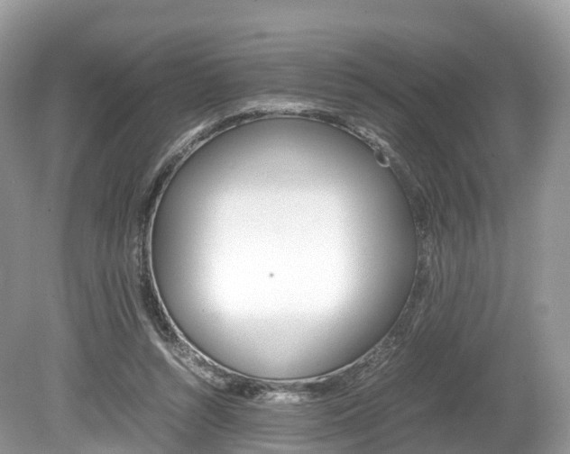 X0000080190352200612081206