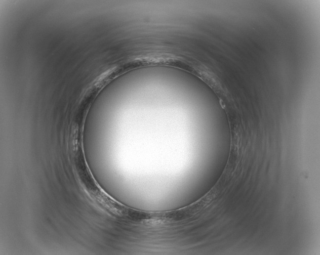 X0000080190356200612081206