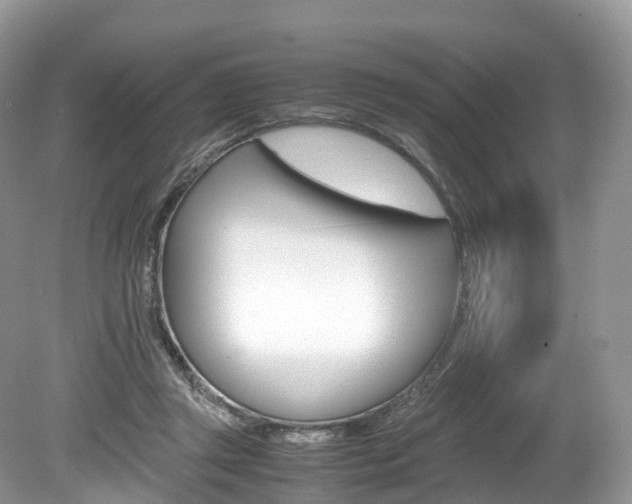 X0000080190357200612081206
