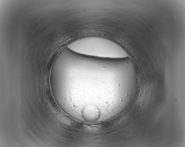 X0000080190359200612081206
