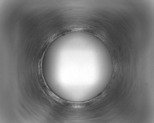 X0000080190360200612081206