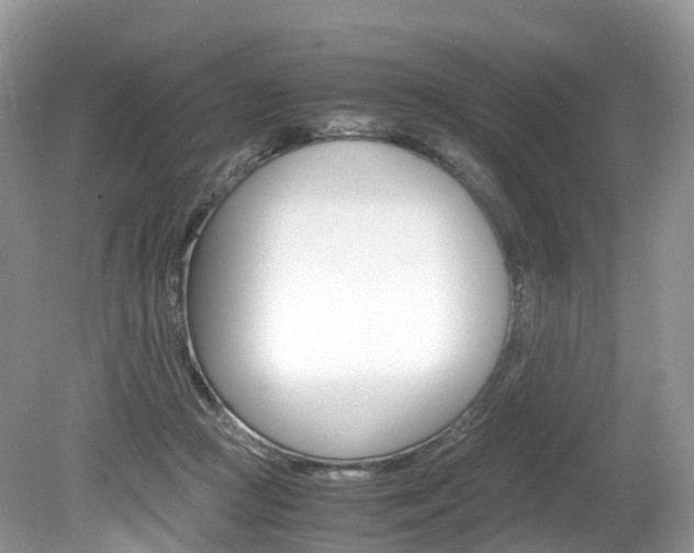 X0000080190361200612081206