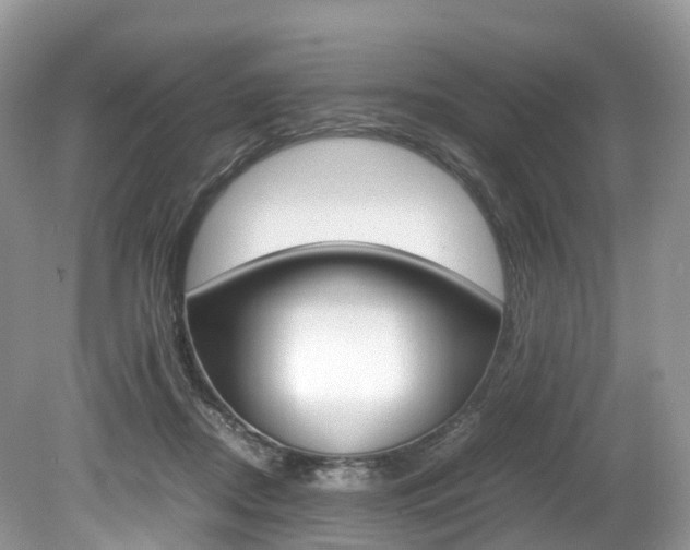 X0000080190362200612081206