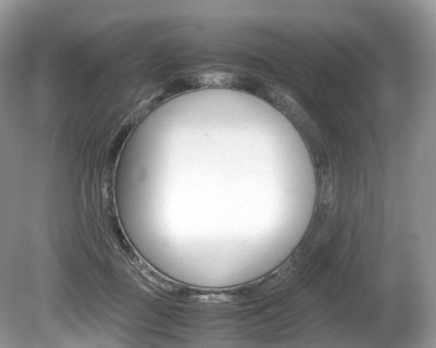 X0000080190363200612081206