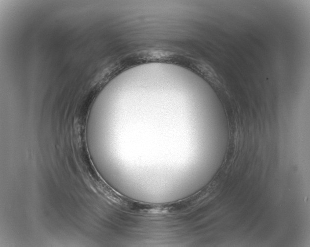 X0000080190366200612081206