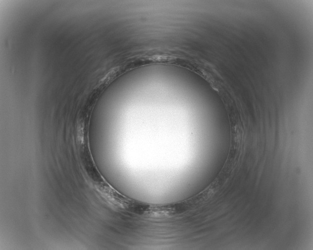 X0000080190368200612081206