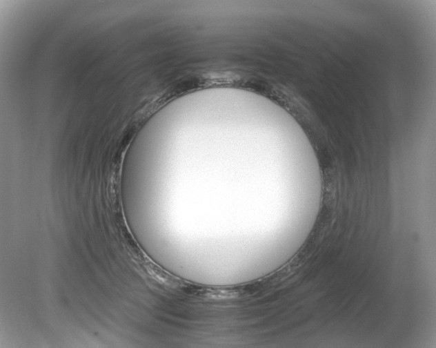 X0000080190369200612081206