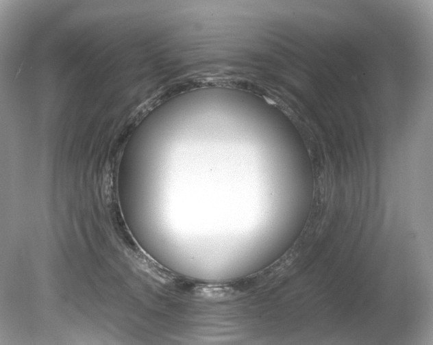 X0000080190372200612081206