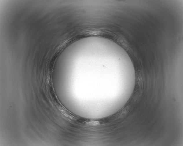 X0000080190374200612081206