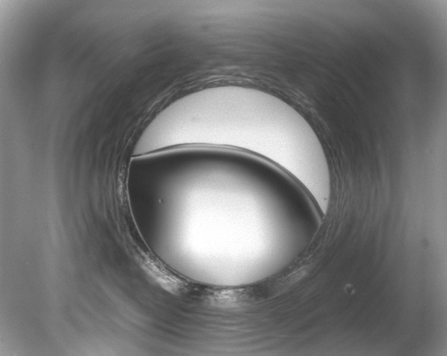 X0000080190382200612081206