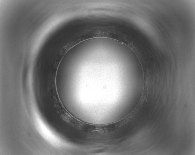 X0000080190383200612081206