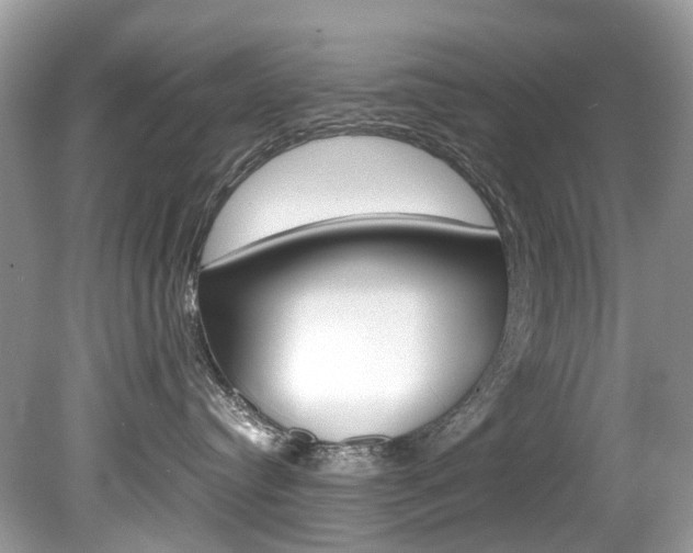 X0000080190384200612081206