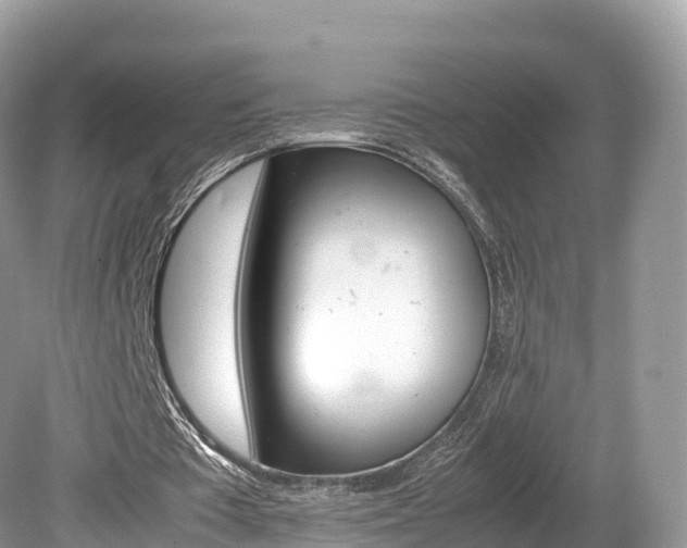 X0000080190385200612081205