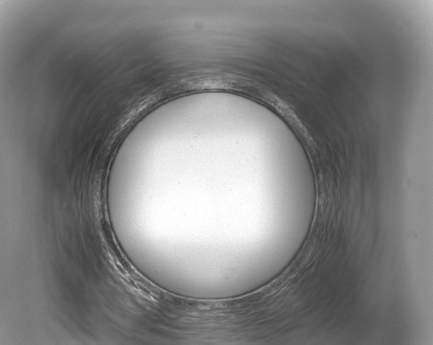 X0000080190386200612081205