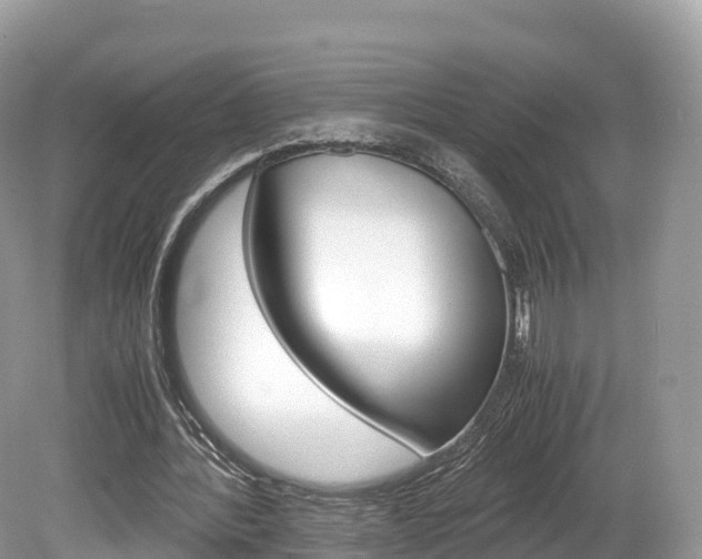 X0000080190388200612081205