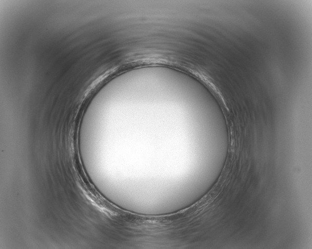 X0000080190390200612081205