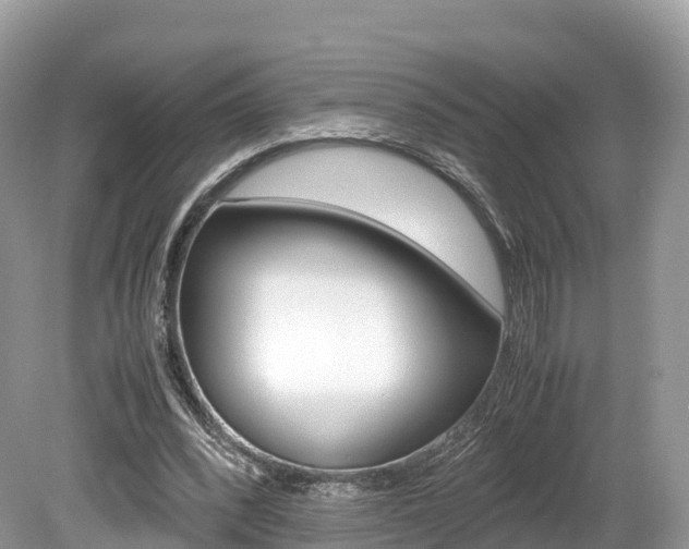 X0000080190392200612081205