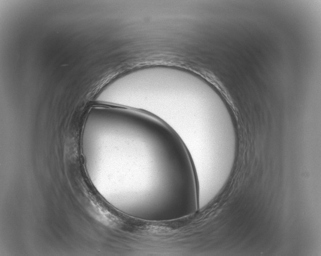 X0000080190393200612081205