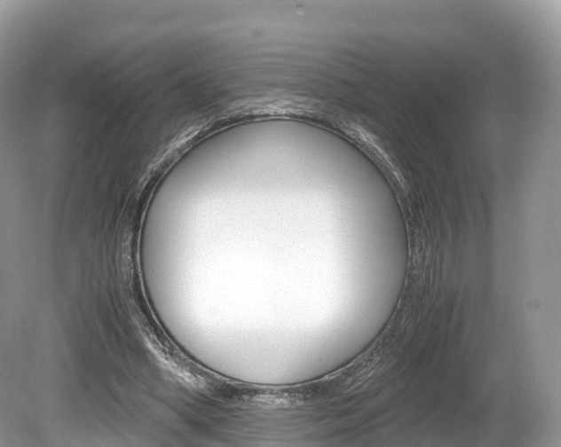 X0000080190394200612081205