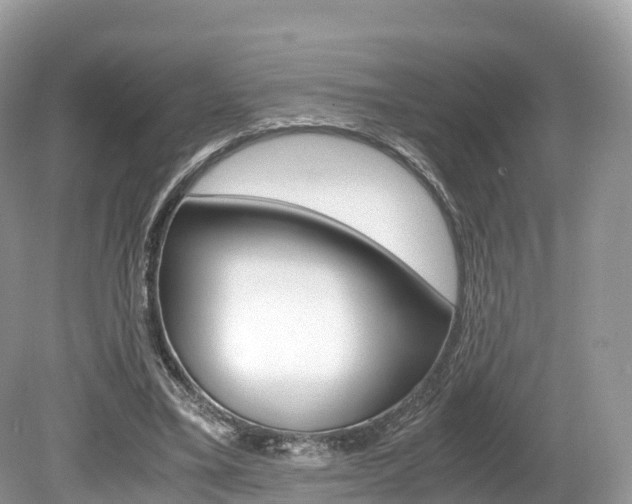 X0000080190395200612081205