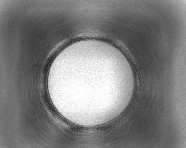 X0000080190396200612081205
