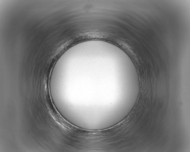 X0000080190398200612081205