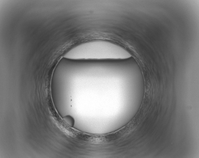 X0000080190402200612081205