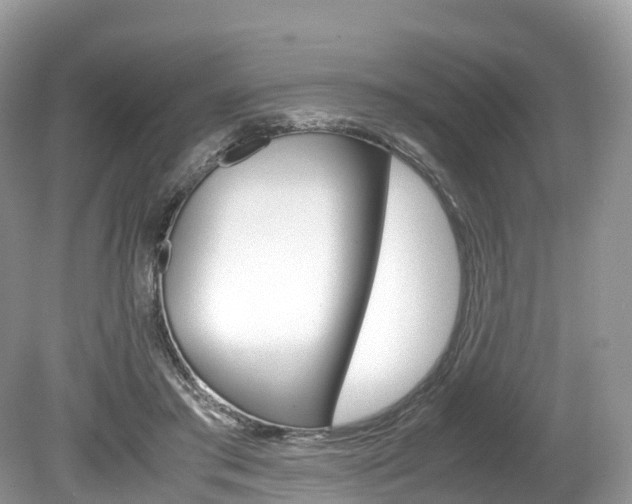 X0000080190405200612081205