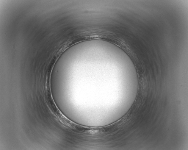 X0000080190406200612081205