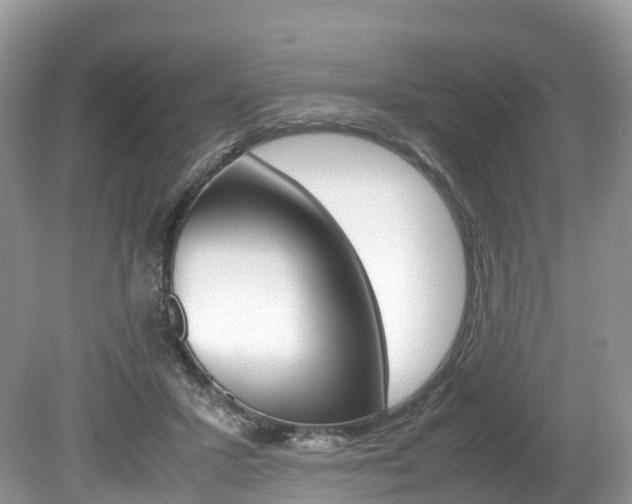 X0000080190407200612081205