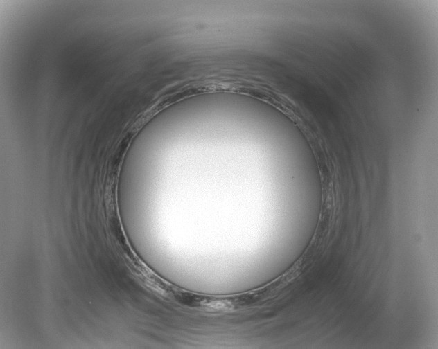 X0000080190409200612081205