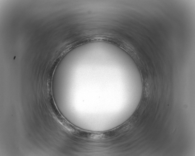 X0000080190410200612081205