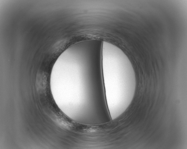 X0000080190412200612081205
