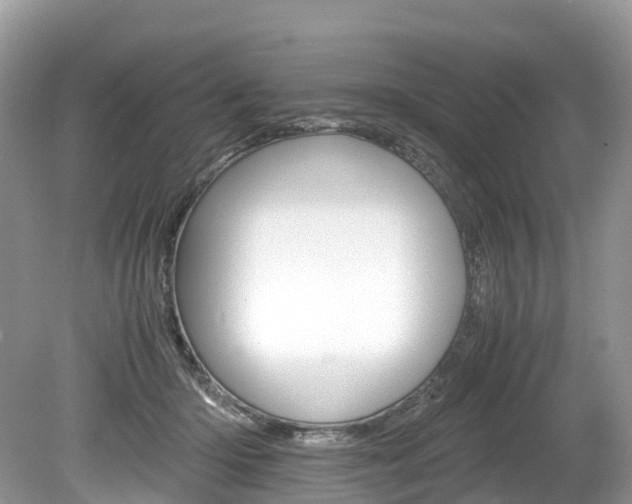 X0000080190414200612081205