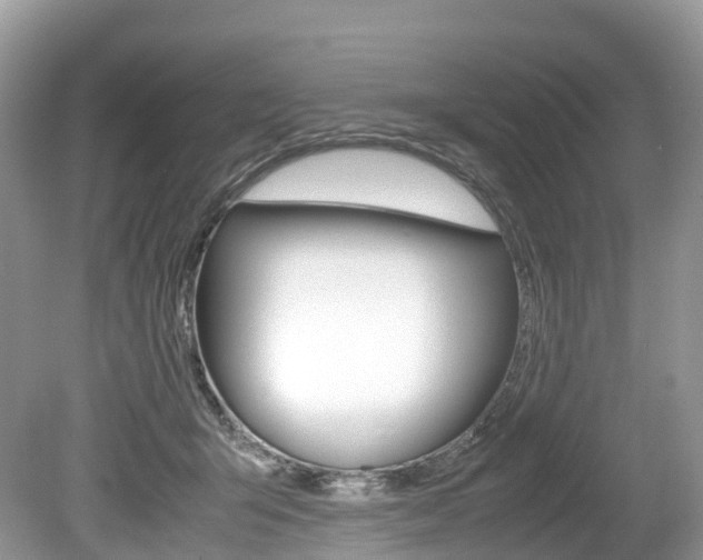 X0000080190415200612081205