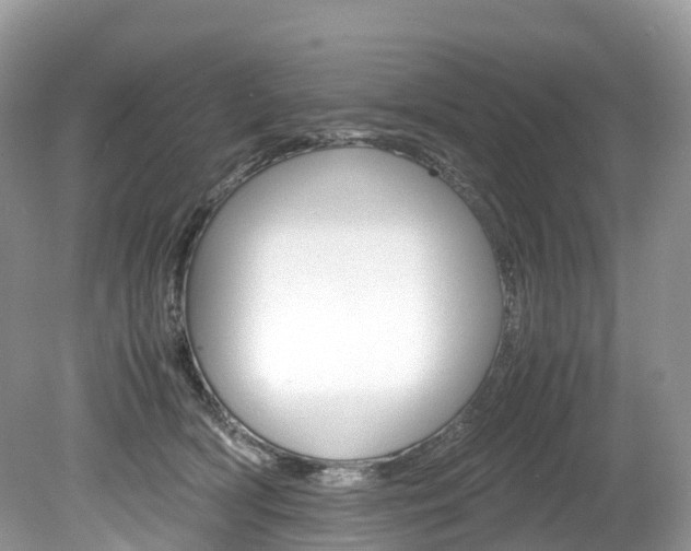 X0000080190418200612081205