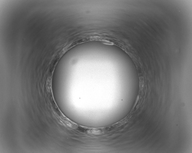 X0000080190419200612081205