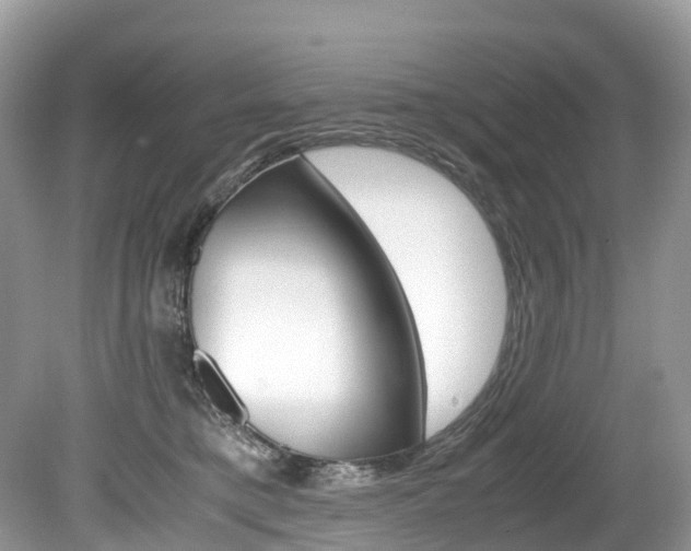 X0000080190421200612081205